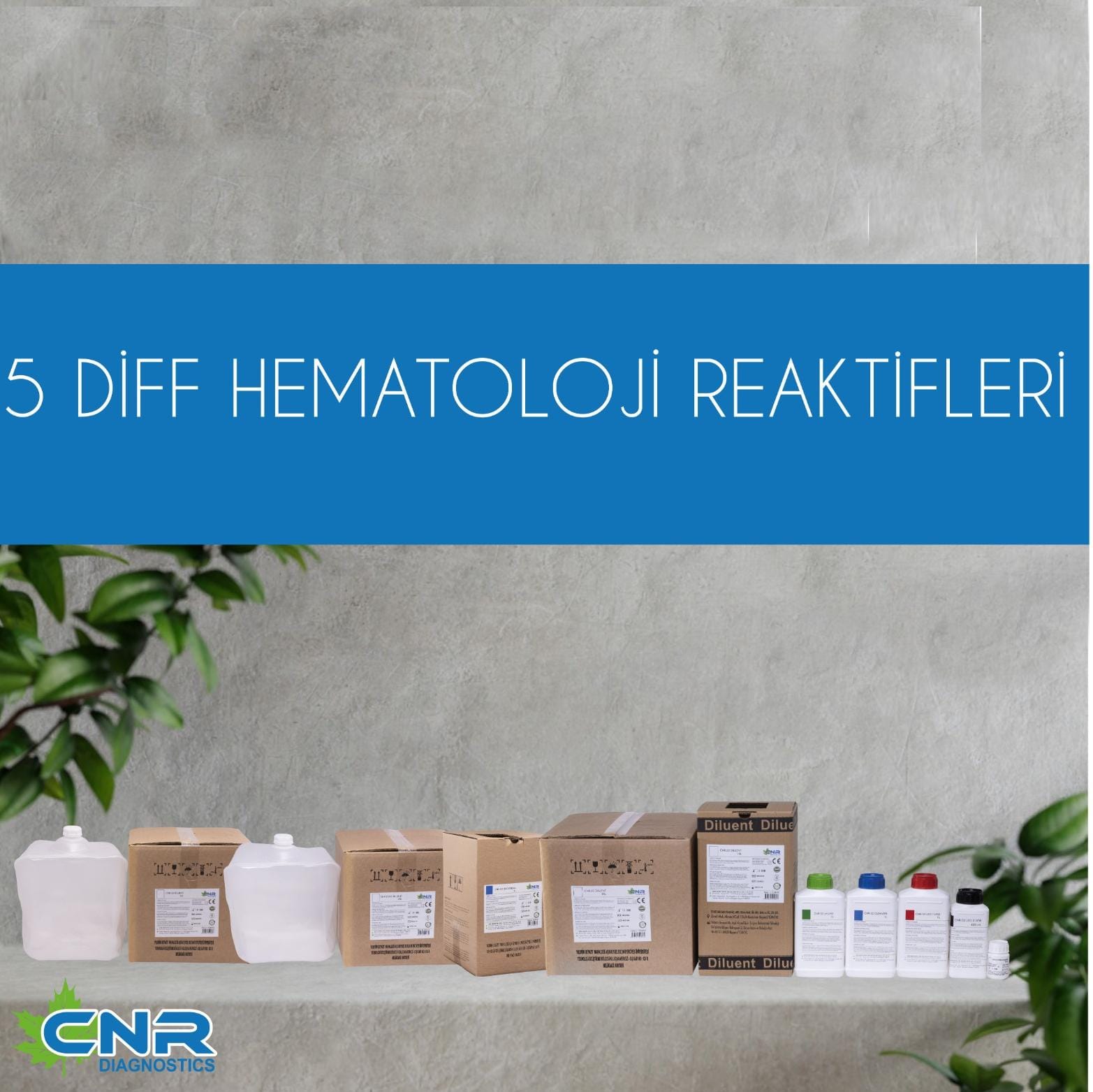 5 Diff Hematoloji Reaktifleri