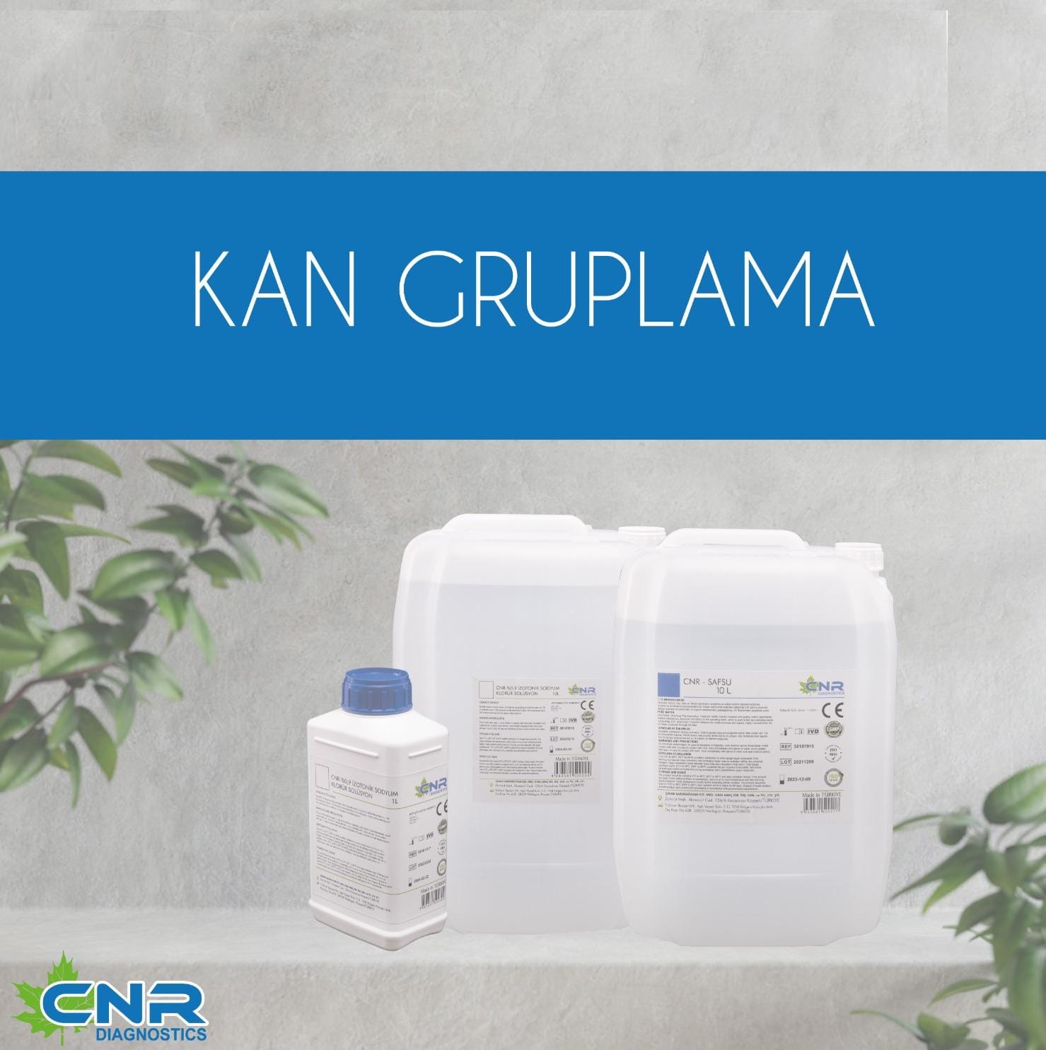 Kan Gruplama