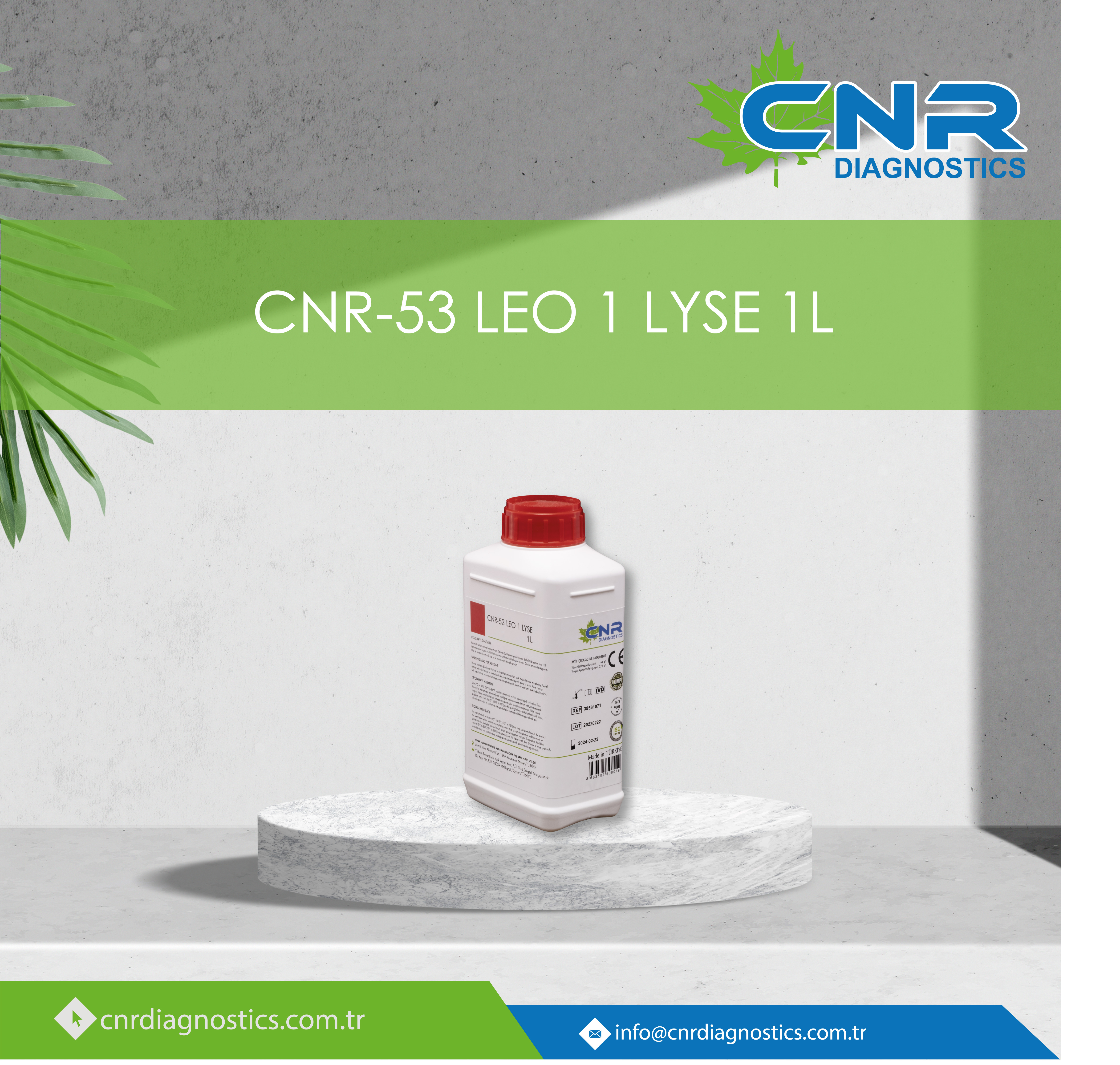 CNR 53 LEO 1 LYSE 1 L